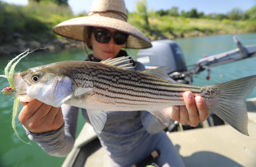 Fishing Store «Reel Anglers Fly Shop», reviews and photos, 760 S Auburn St, Grass Valley, CA 95945, USA