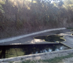 Balneario Natural Las Vivoras photo