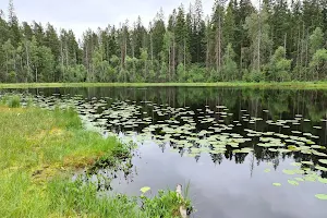 Älmås Naturreservat image