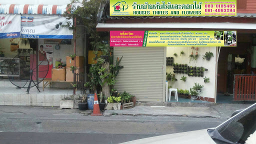 ร้านบ้านต้นไม้และดอกไม้