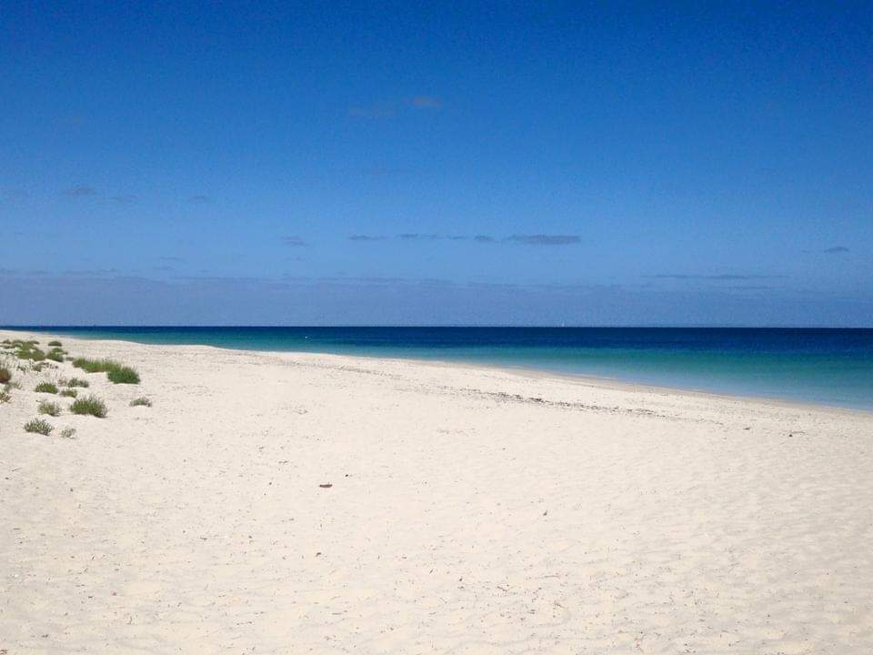 Peppermint Beach'in fotoğrafı vahşi alan