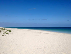 Zdjęcie Peppermint Beach z poziomem czystości wysoki