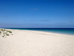 Peppermint Beach'in fotoğrafı vahşi alan