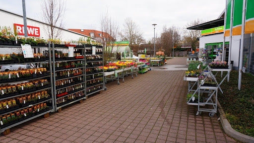 ZG Raiffeisen - Bad Krozingen unter Bad Krozingen, 