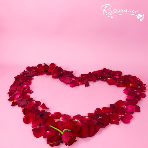 Florist «Abbott Florist», reviews and photos, 138 Fries Mill Rd #5, Turnersville, NJ 08012, USA