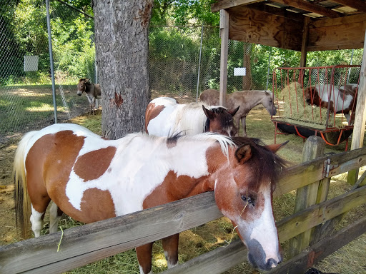 Zoo «Fritz Park Petting Farm», reviews and photos, 312 E Vilbig St, Irving, TX 75060, USA