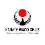 Karate Wado Chile - Sede Santiago