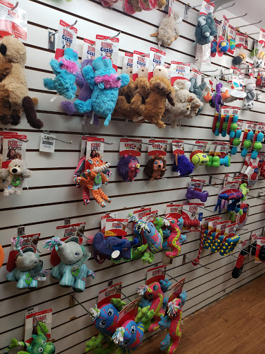 Pet Store «Claremont Pet & Aquarium Center», reviews and photos, 201 Washington St, Claremont, NH 03743, USA