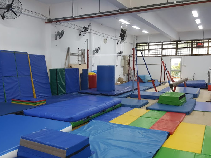 The Junior Gymnastics Training Centre