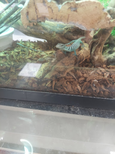 Reptile Store «Pets & Things», reviews and photos, 44825 Van Dyke, Utica, MI 48317, USA