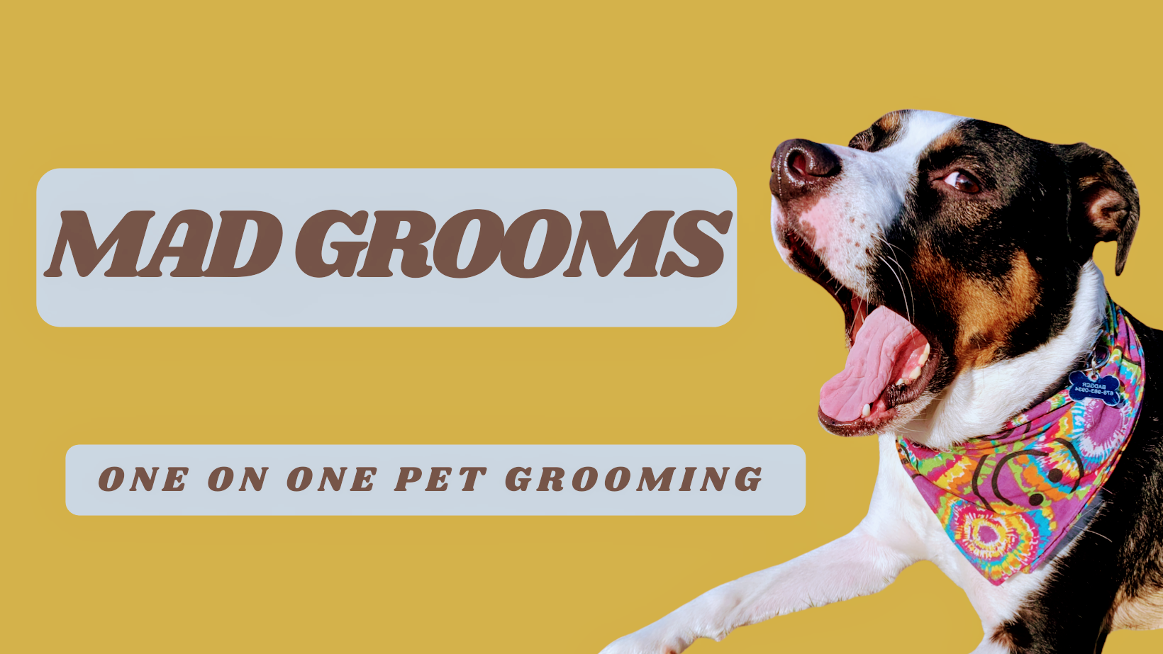 Mad Grooms LLC