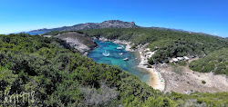 Photo de Fazzio beach zone sauvage