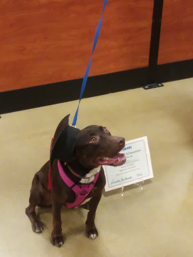 Pet Supply Store «PetSmart», reviews and photos, 533 S Tracy St, Wichita, KS 67209, USA