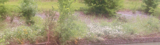 Park «W. J. Thomas Park», reviews and photos, 1955 Perry Rd, Carrollton, TX 75006, USA