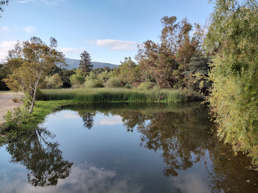Vasona Lake County Park image