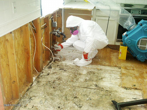Daly City Mold Removal Service