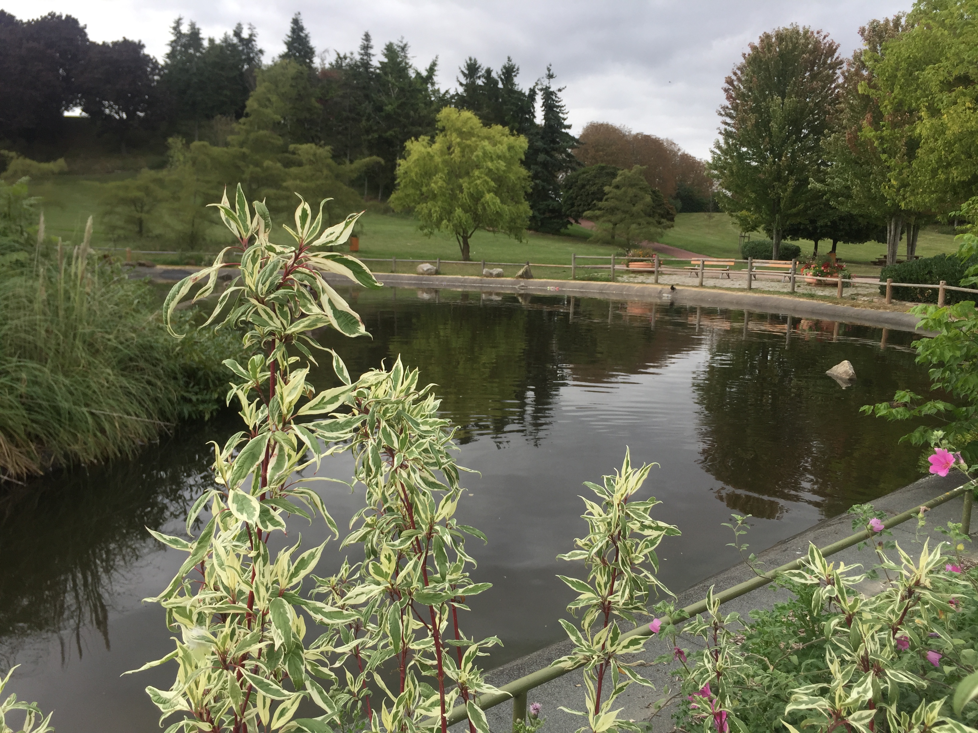 Photo n° 3 de l'avis de n.o fait le 14/09/2017 à 15:53