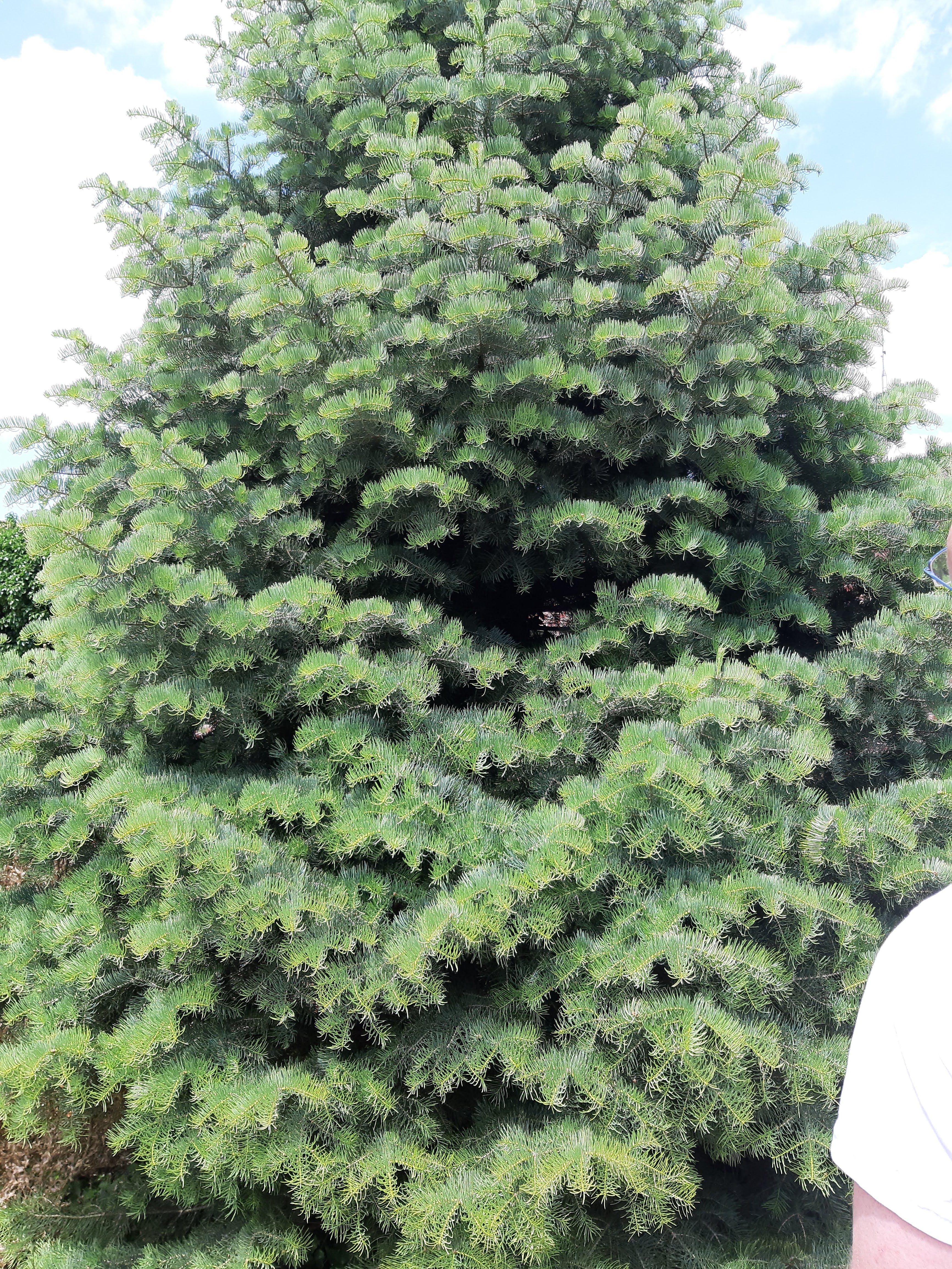 Photo n° 17 de l'avis de ka.i fait le 14/06/2019 à 13:23