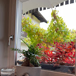 Photo n°2 de l'avis de Sophie.o fait le 03/11/2022 à 09:31 sur le  Restaurant 1524 à Girlan