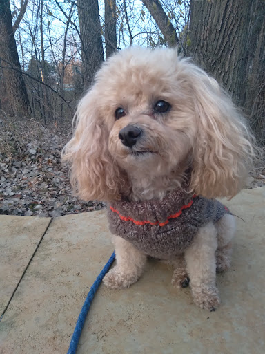 Park «Lions Coon Creek Park», reviews and photos, 1664 119th Ave NW, Coon Rapids, MN 55433, USA