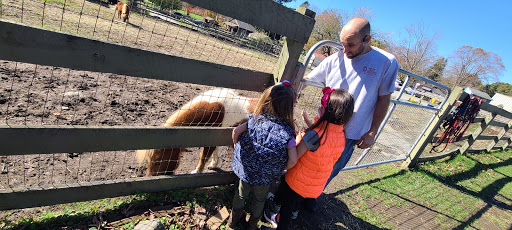 Animal Rescue Service «Ray of Light Farm Inc», reviews and photos, 232 Town St, East Haddam, CT 06423, USA