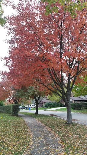 Community Center «Burning Bush Community Center», reviews and photos, 1313 N Burning Bush Ln, Mt Prospect, IL 60056, USA