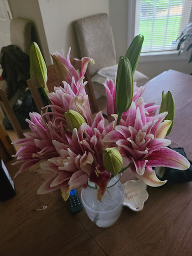 Supermarket «Price Chopper», reviews and photos, 4547 Milford Rd, East Stroudsburg, PA 18301, USA