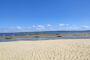Beach Center image