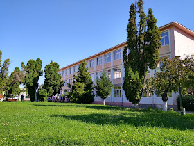 Liceul Teoretic Iulia Hasdeu
