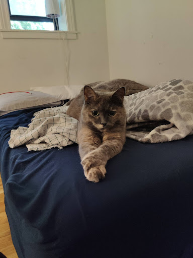 Explore body marker tattoo ideas, creative tattoo ideas in Chicago, available at Chi Town Tattoo & Body Piercing