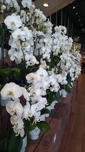 Grocery Store «The Fresh Market», reviews and photos, 1800 West Ave, Miami Beach, FL 33139, USA