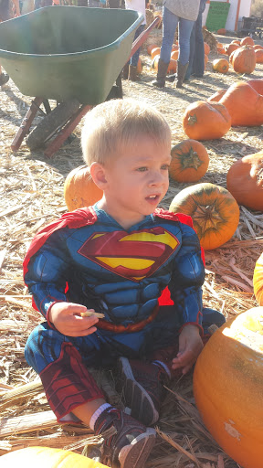 Amusement Center «Jump Man Jump», reviews and photos, 335 Edison Way, Reno, NV 89502, USA