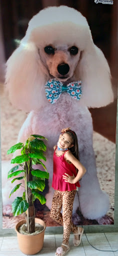 Herlewing Pet Shop maracaibo - Tienda de Mascotas maracaibo