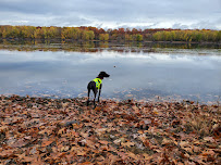 Blue Dog Elite - Photo 2 - Car repair in Windsor Locks, CT, Hartford