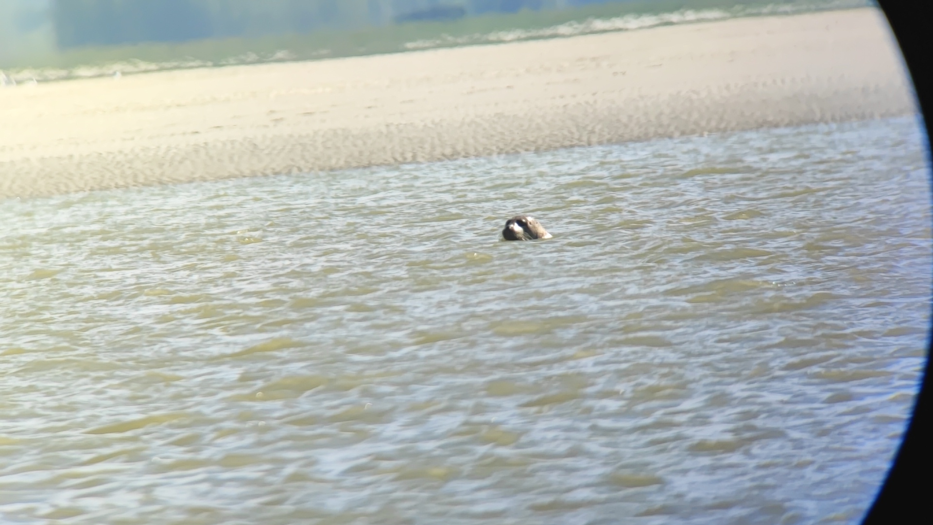 Photo n° 5 de l'avis de Raz.o fait le 29/07/2021 à 18:46
