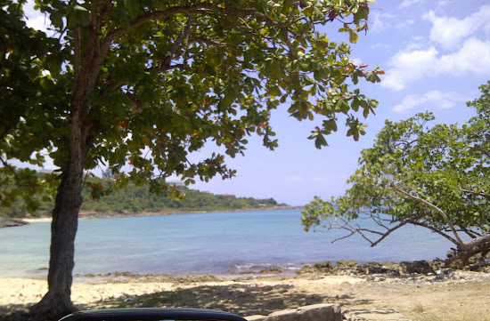 Bull's Bay Beach