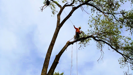 TWO MEN IN A TREE