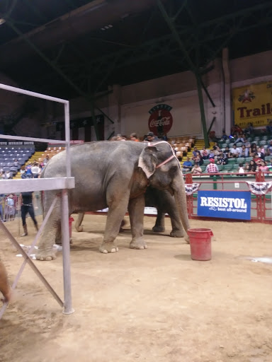 Tourist Attraction «Stockyards Championship Rodeo», reviews and photos, 121 E Exchange Ave, Fort Worth, TX 76164, USA