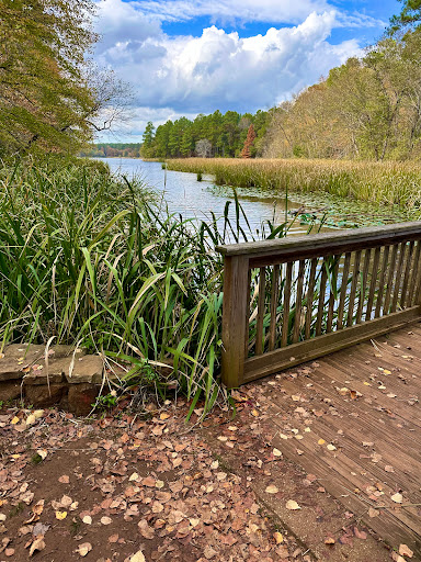 Whispering Pines Trail
