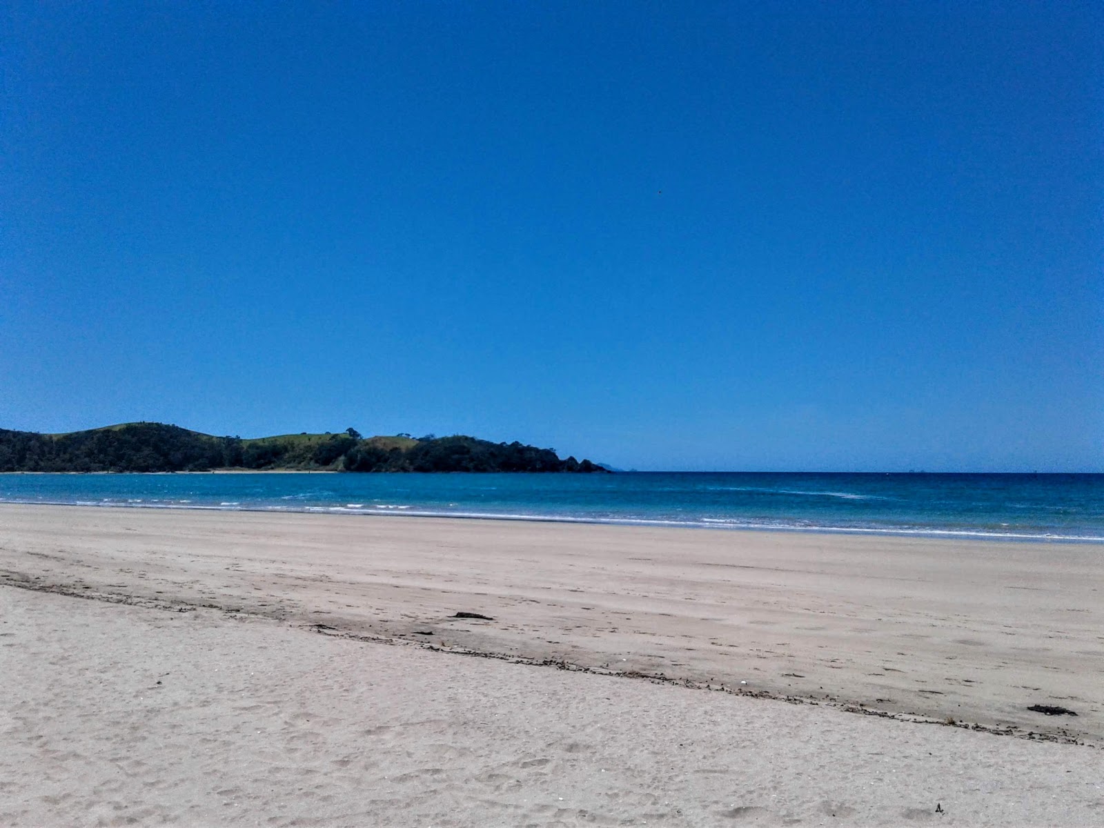 Photo de Whananaki South Beach avec un niveau de propreté de très propre