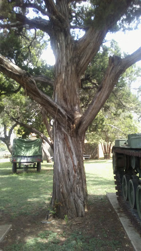 Museum «Texas Military Forces Museum», reviews and photos, 2200 W 35th St, Austin, TX 78703, USA