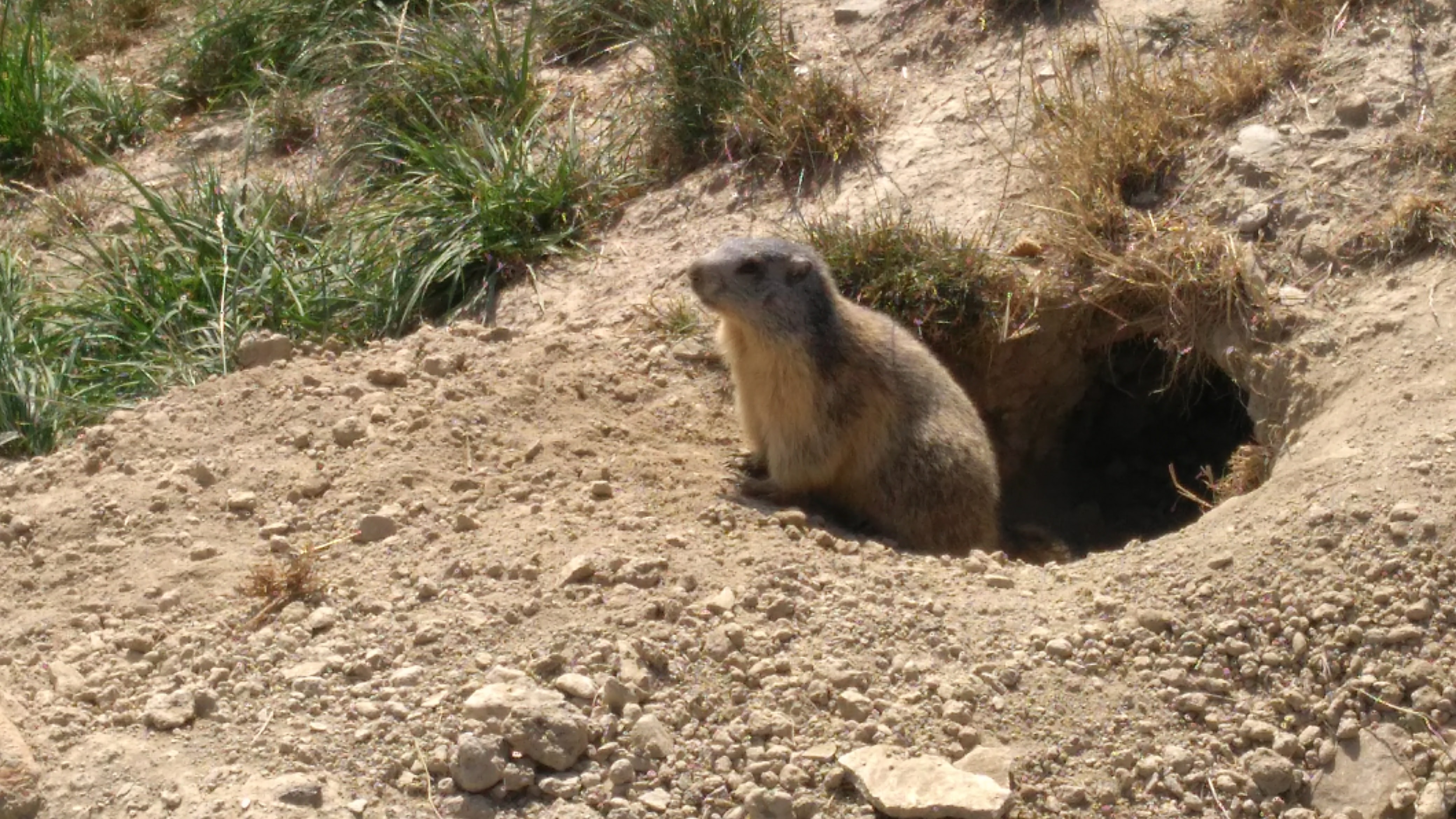 Photo n° 3 de l'avis de Gregory.e fait le 24/08/2017 à 06:46