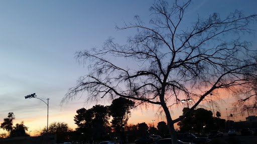 Park «Pierce Park», reviews and photos, 2150 N 46th St, Phoenix, AZ 85008, USA