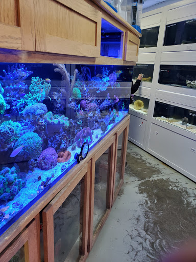 Tropical Fish Store «Barrier Reef Aquariums», reviews and photos, 1717 NE 44th St # A, Renton, WA 98056, USA