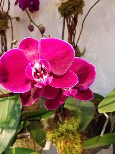 Florist «Scarsdale Flower Boutique», reviews and photos, 7 Harwood Ct, Scarsdale, NY 10583, USA