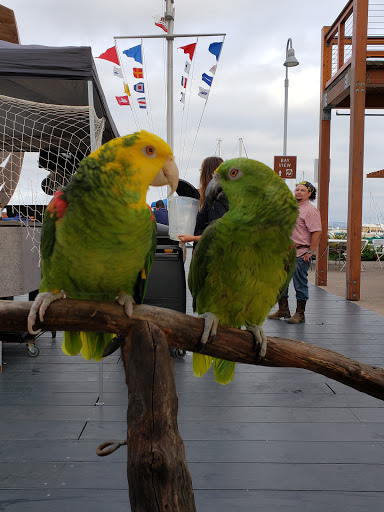 Pier 32 Marina image