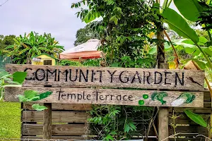 Community Garden Temple Terrace image