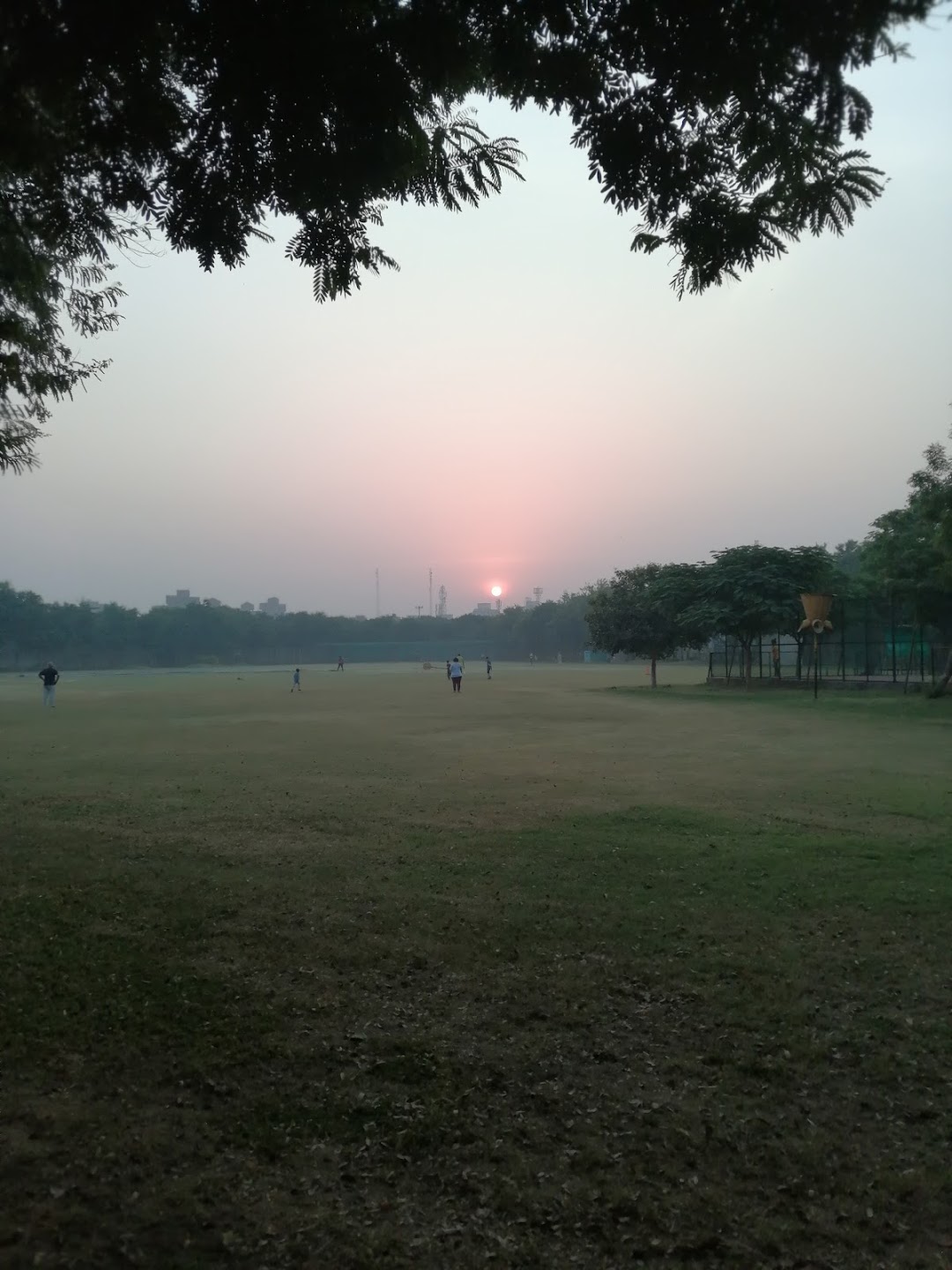 Dwarka Sports Complex Cricket Ground