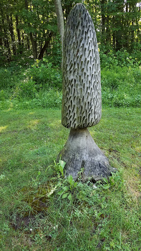 Golf Course «Cheshire Hills Golf Course», reviews and photos, 3829 102nd Ave, Allegan, MI 49010, USA