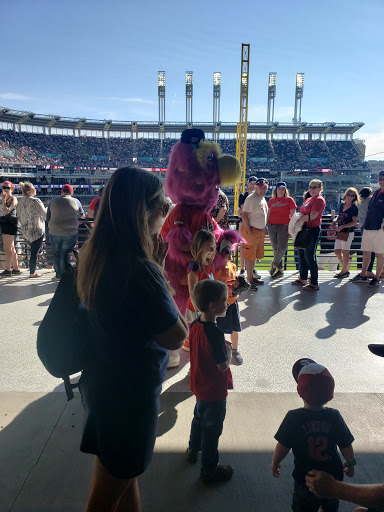 Souvenir Store «Indians Team Shop», reviews and photos, 2401 Ontario St, Cleveland, OH 44115, USA